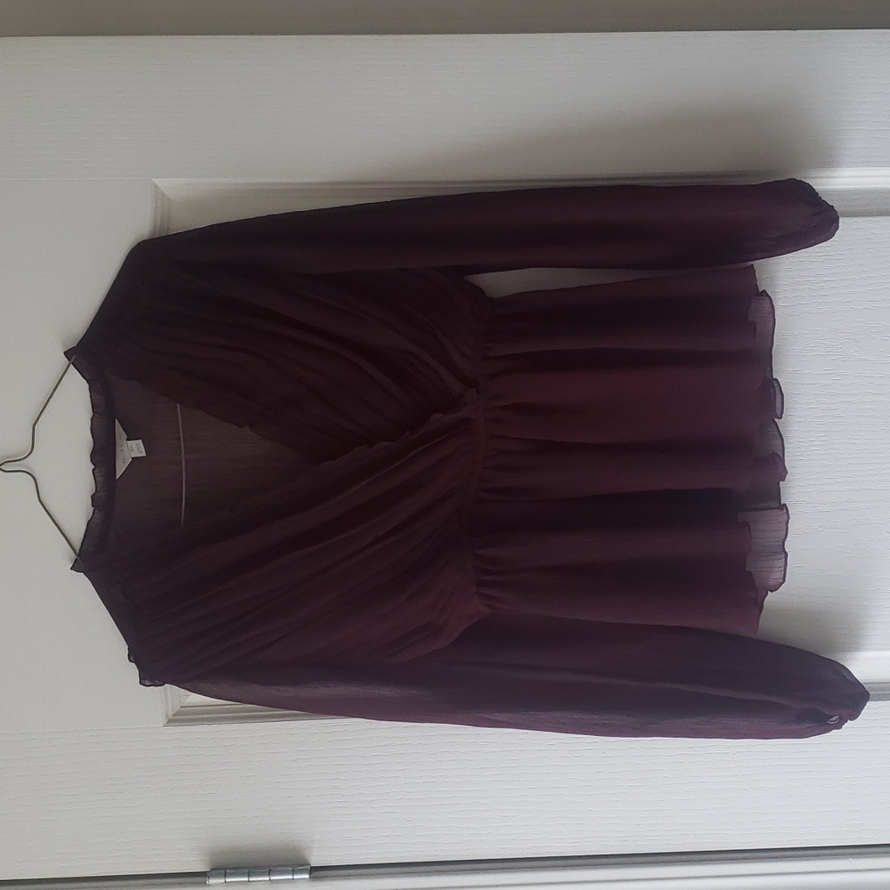 Belle & Sky sheer blouse